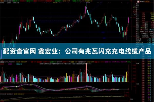 配资查官网 鑫宏业：公司有兆瓦闪充充电线缆产品