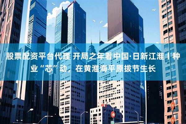 股票配资平台代理 开局之年看中国·日新江淮丨种业“芯”动，在黄淮海平原拔节生长